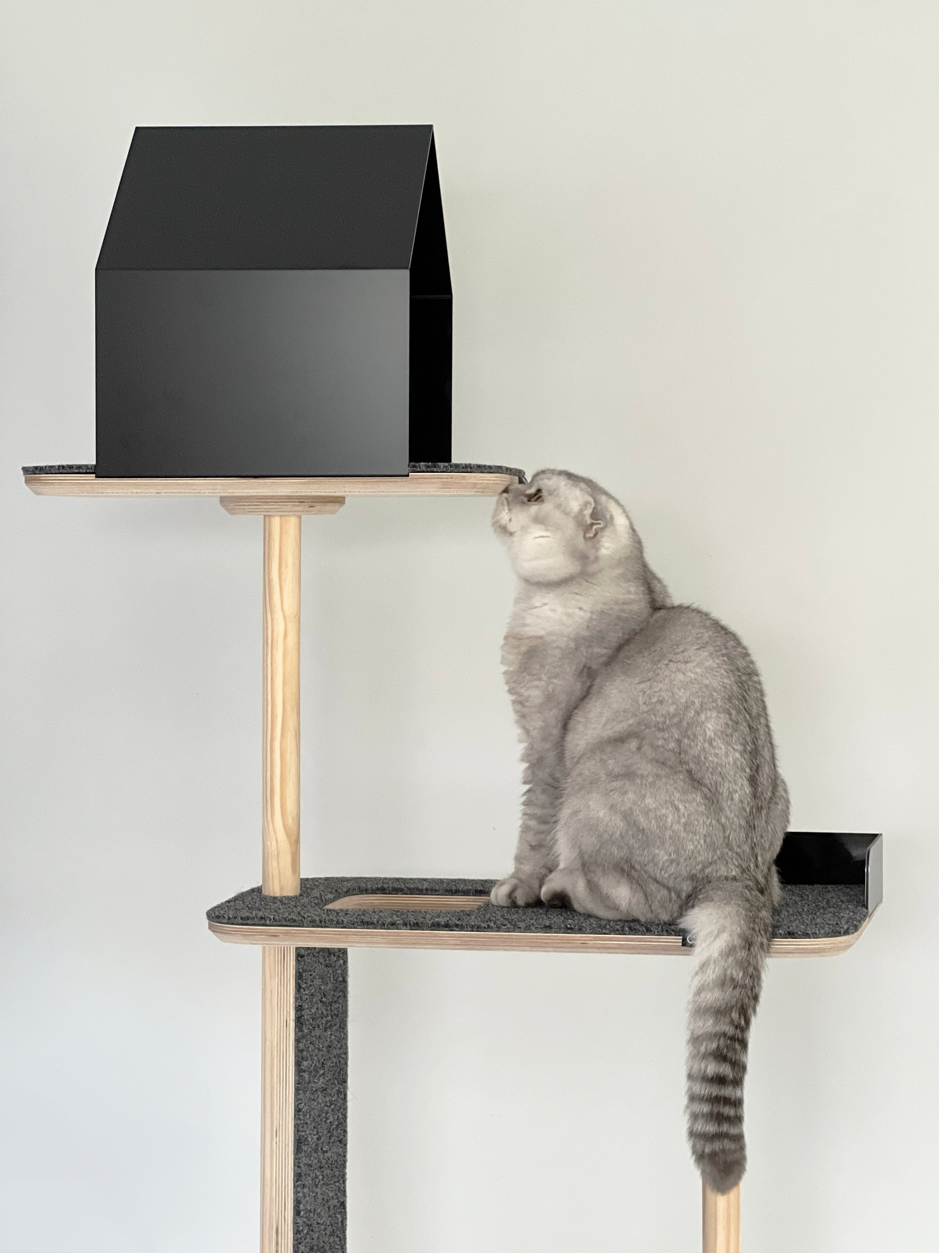 Atlas Cat Tower: