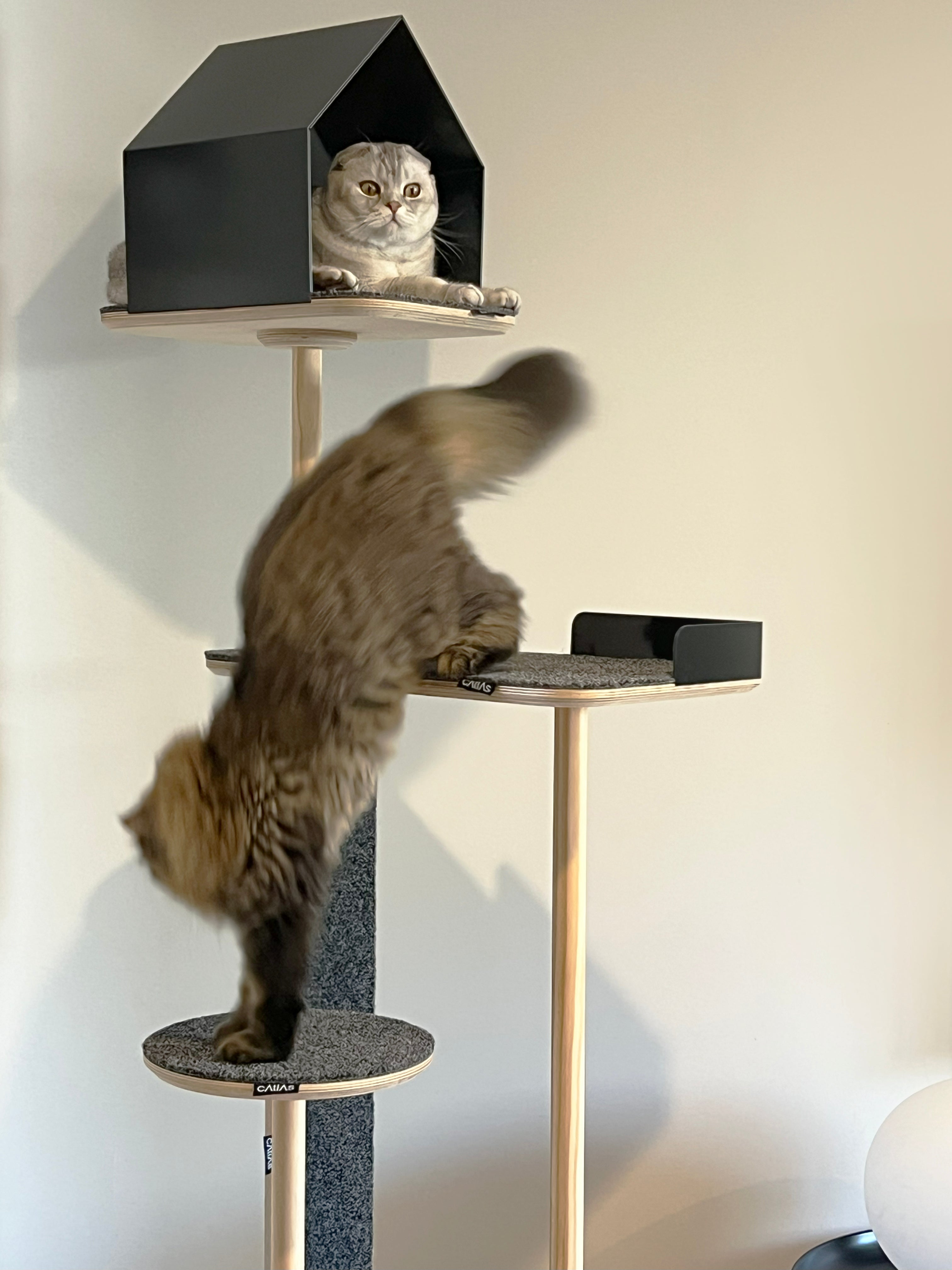 Atlas Cat Tower: