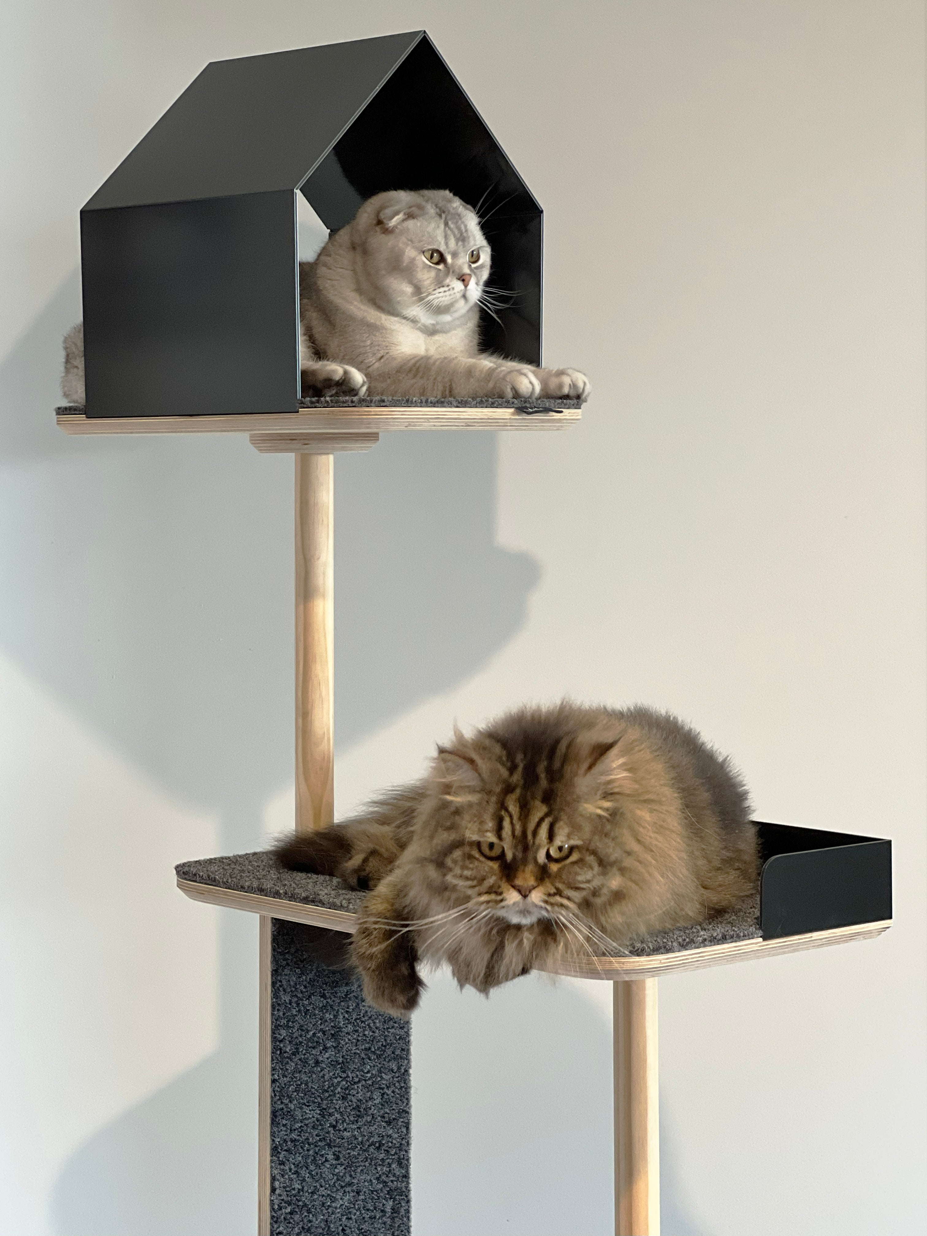Atlas Cat Tower: