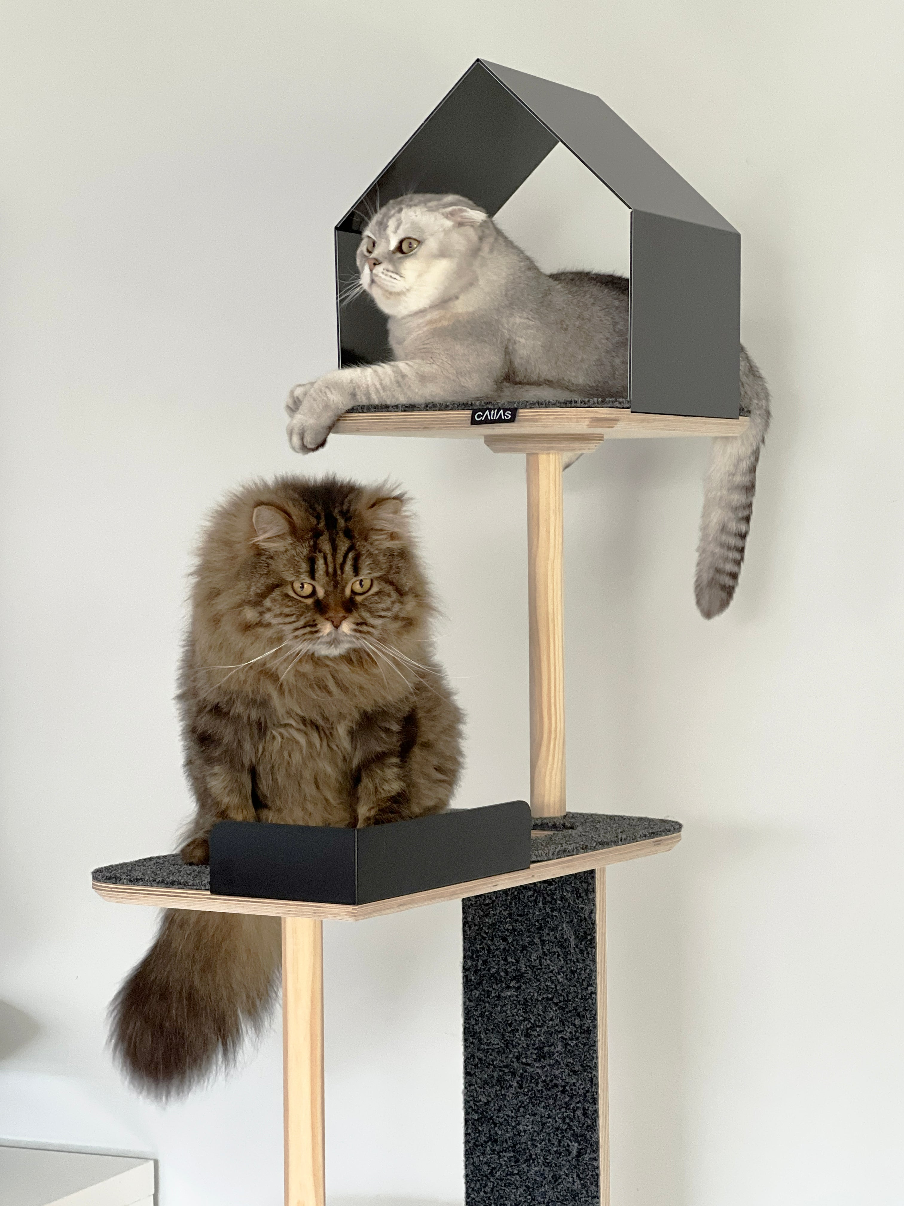 Atlas Cat Tower: