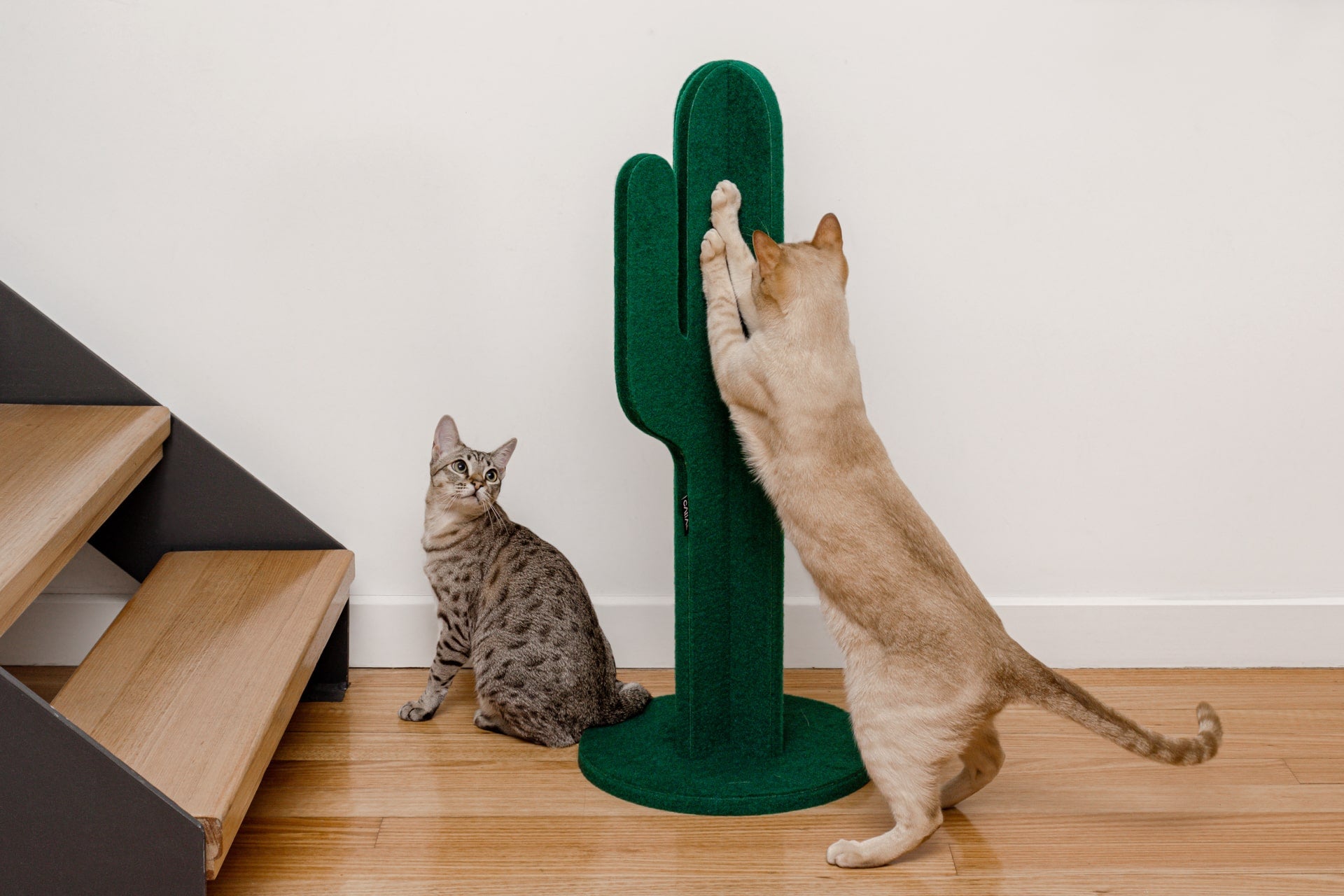 Catlas Cactus Scratching Post