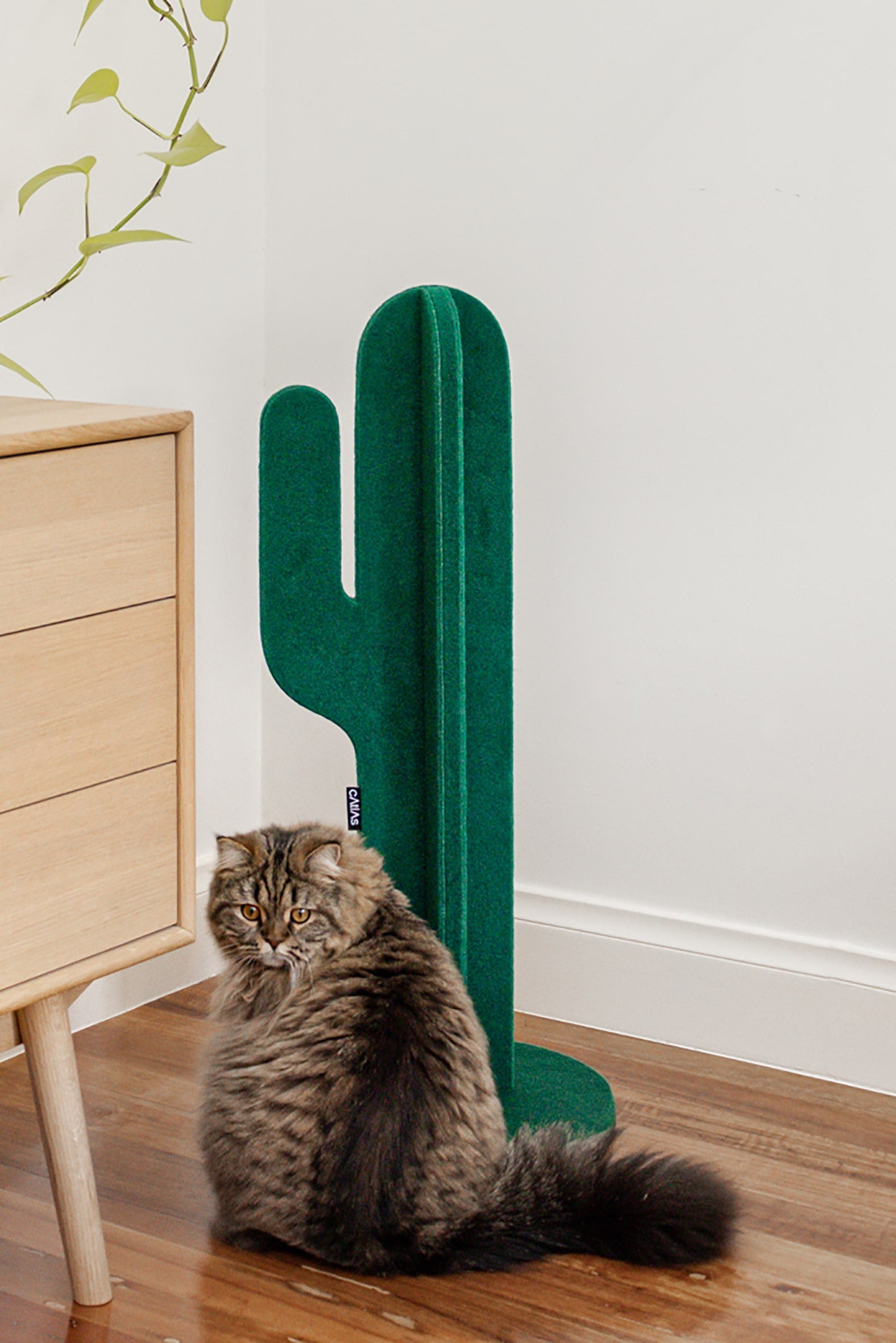 Catlas Cactus Scratching Post