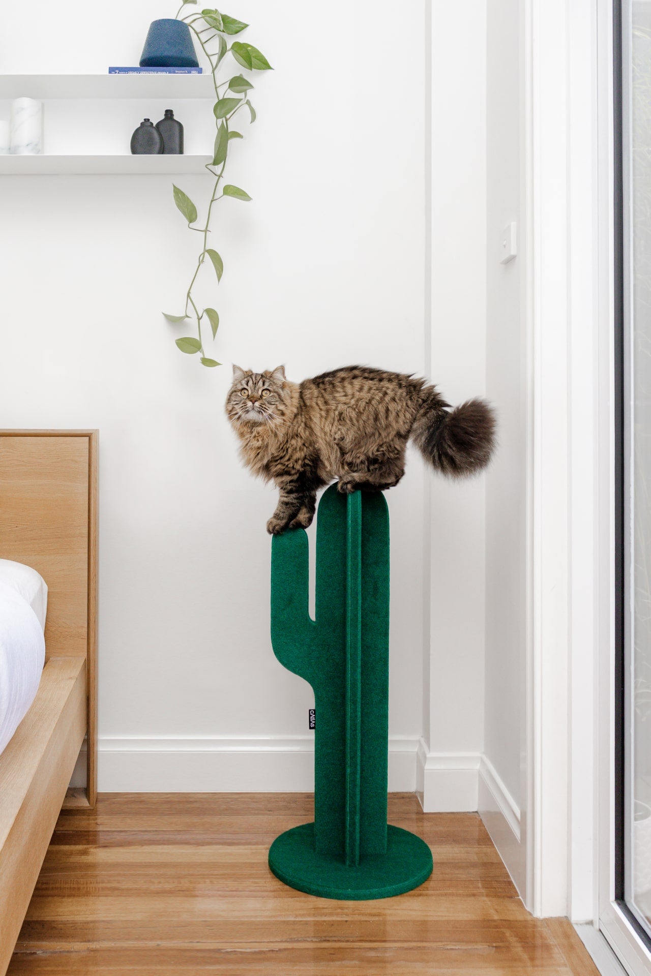 Catlas Cactus Scratching Post