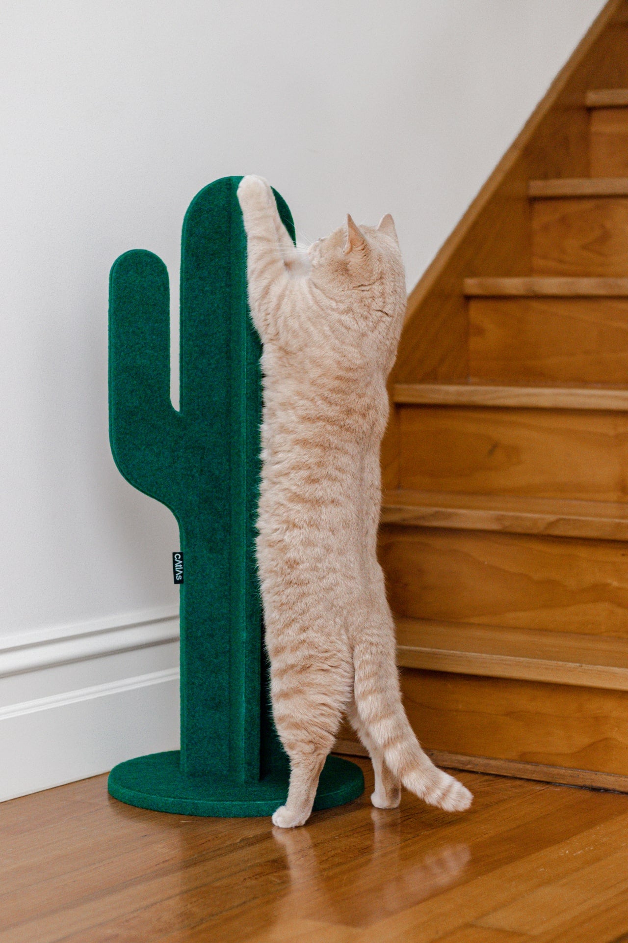 Catlas Cactus Scratching Post