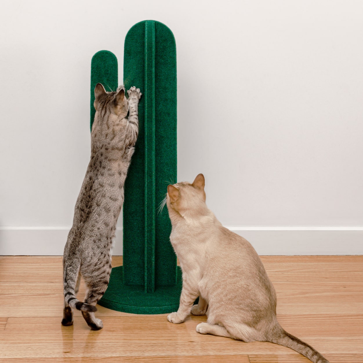 Catlas Cactus Scratching Post