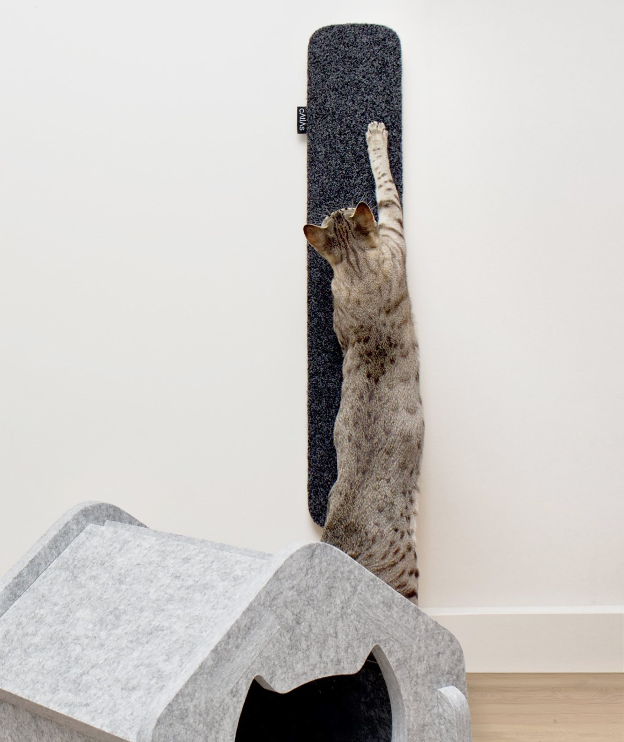 Catlas Wall Mounted Scratching Pad