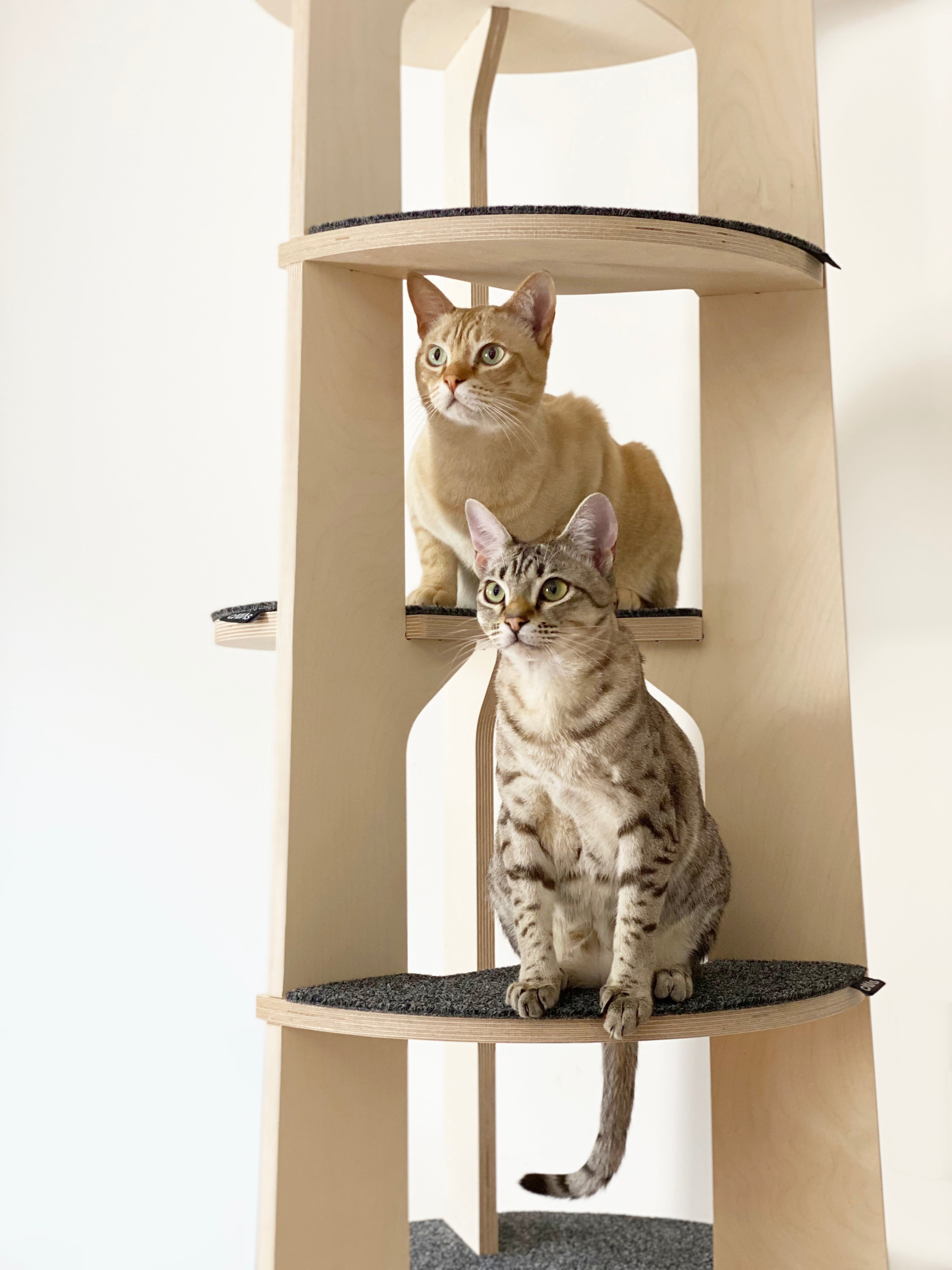 Loom Cat Tree Climber