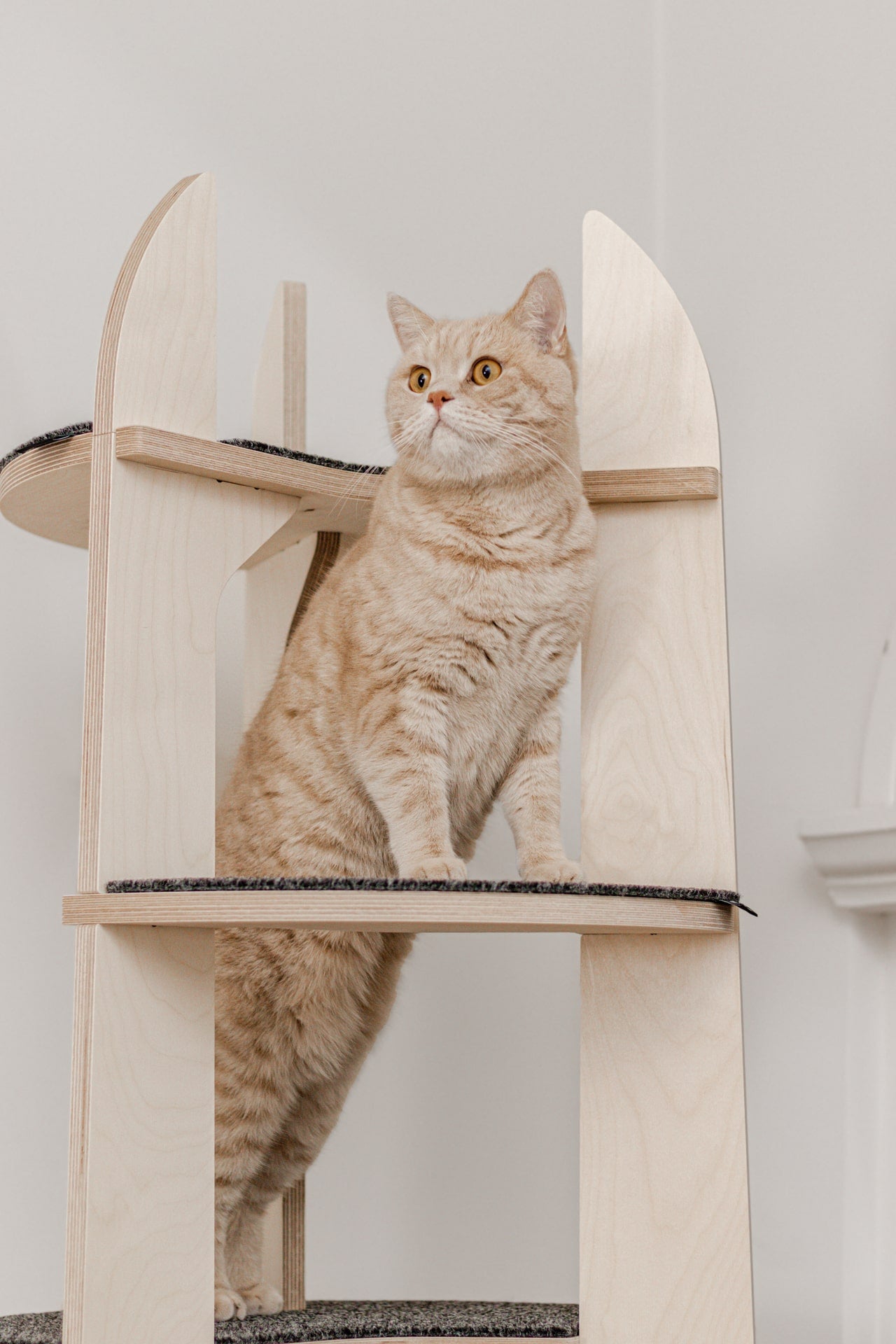 Loom Cat Tree Tower