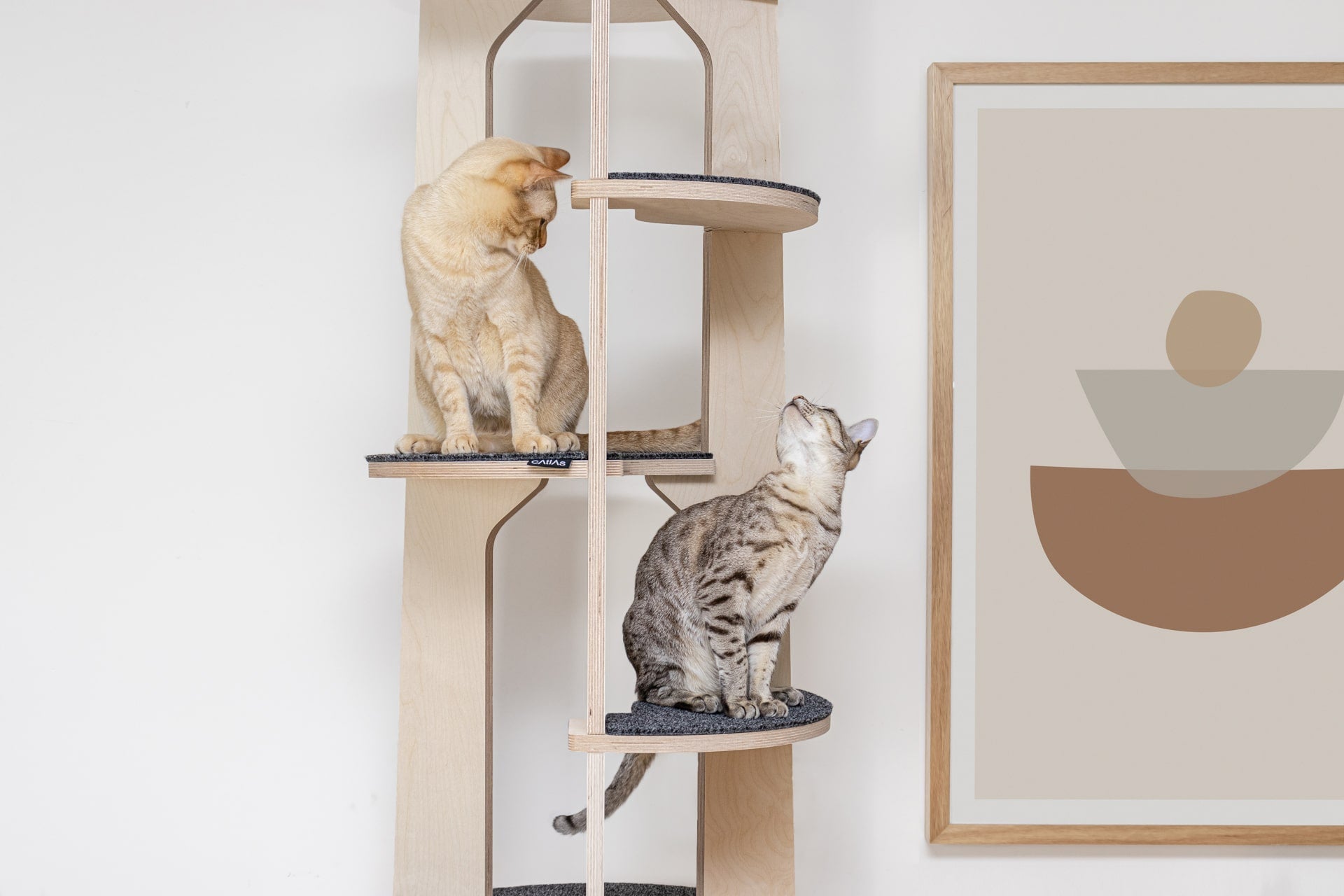 Loom Cat Tree Tower