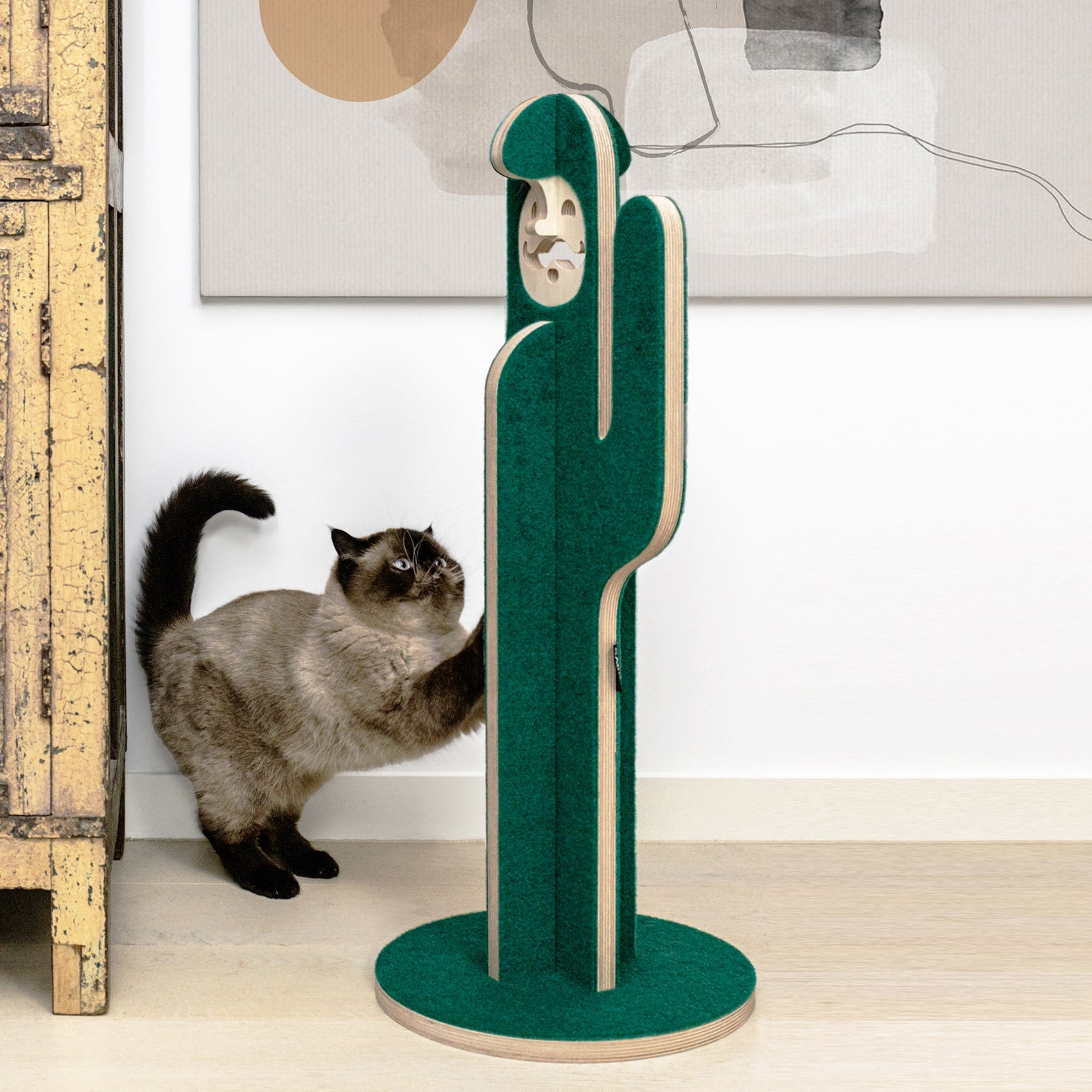 Mr Catcus Scratching Post